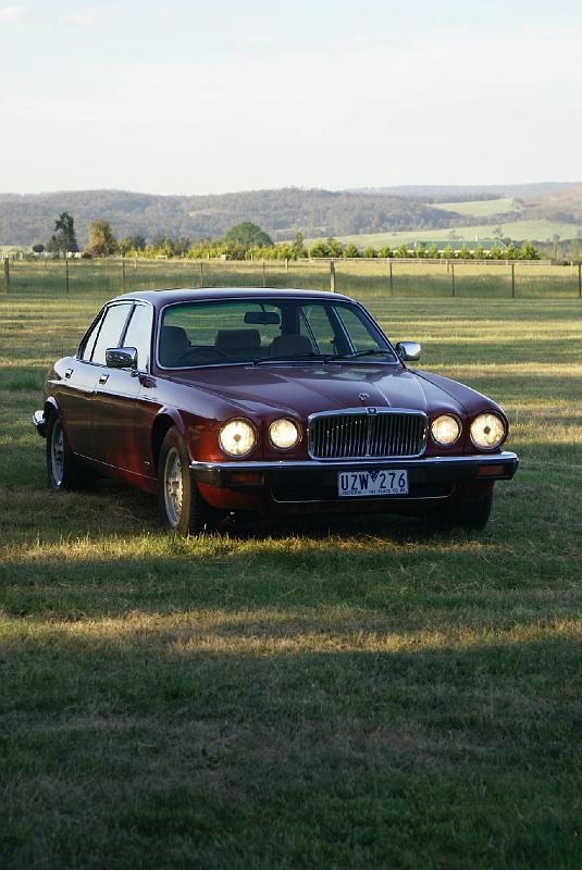 Ian's XJ6 Restoration 06.JPG - SONY DSC